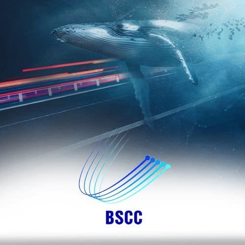 DXN Limited signs new Cable Landing Station contract with Belau Submarine Cable Company