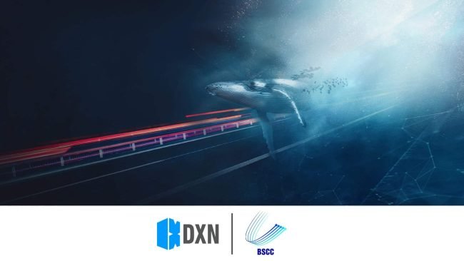 21QDXN129-BCSS_Web